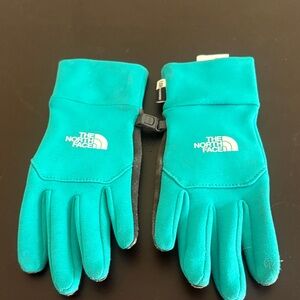 The North Face Teal and Gray Gloves